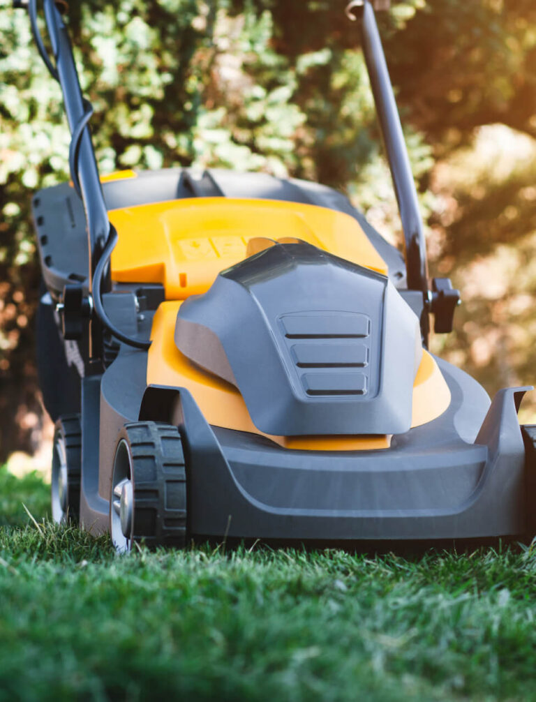 Jaka kosiarka elektryczna? Poradnik