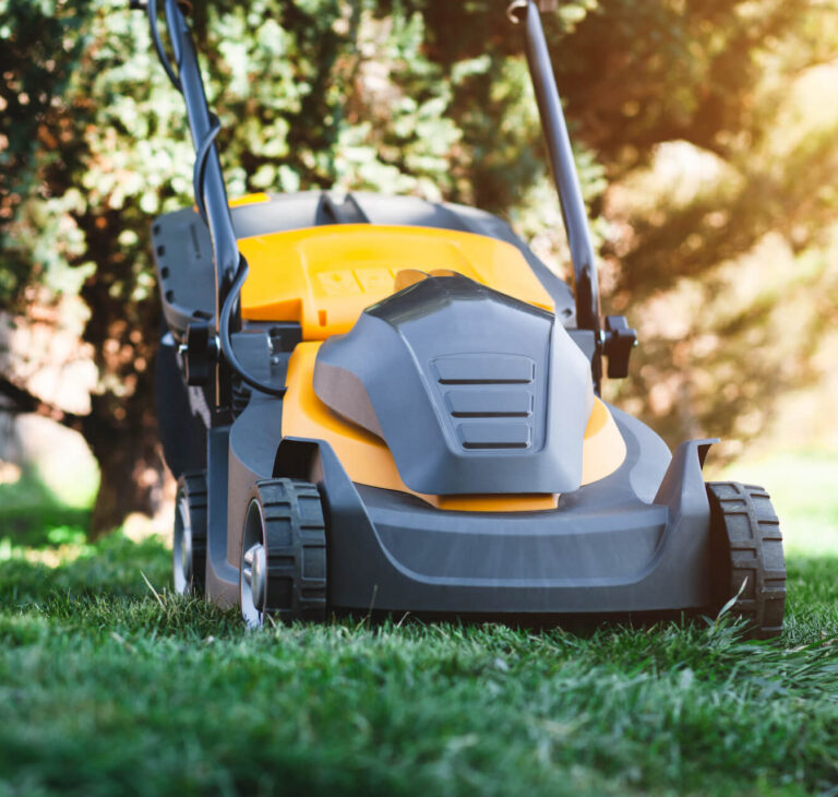 Jaka kosiarka elektryczna? Poradnik