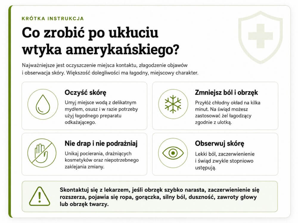 Wtyk amerykański - ugryzienie. Pierwsza pomoc Co zrobić po ukłuciu wtyka amerykańskiego?